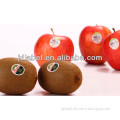 self adhesive roll label PP for food
